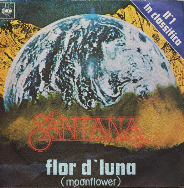 Flor D'Luna = Moonflower